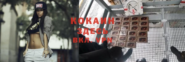 дурь Горно-Алтайск