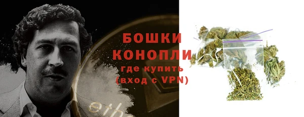 дурь Горно-Алтайск