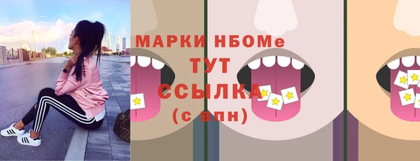 твердый Снежногорск