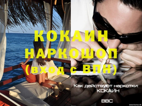 дурь Горно-Алтайск
