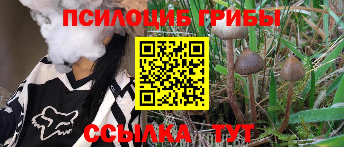 Галлюциногенные грибы GOLDEN TEACHER  купить наркоту  Псилоцибиновые грибы Psilocybine cubensis  Городец  Вход с VPN 
